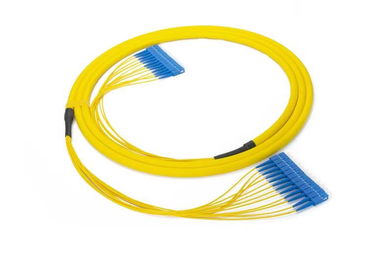 SCA-SCA 12F 6.0mm fanout 0.9mm patchcord 