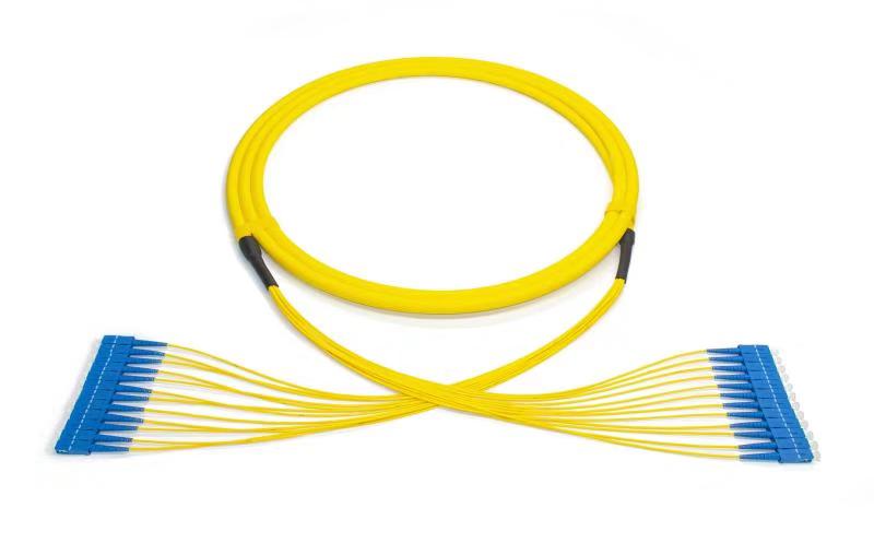 SC-SC 12F 6.0mm patchcord