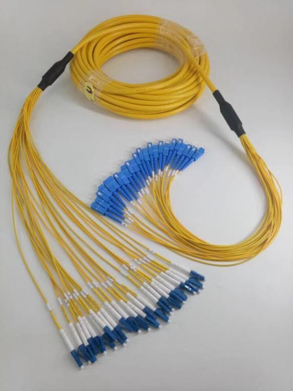 SC-LC 24F patchcord